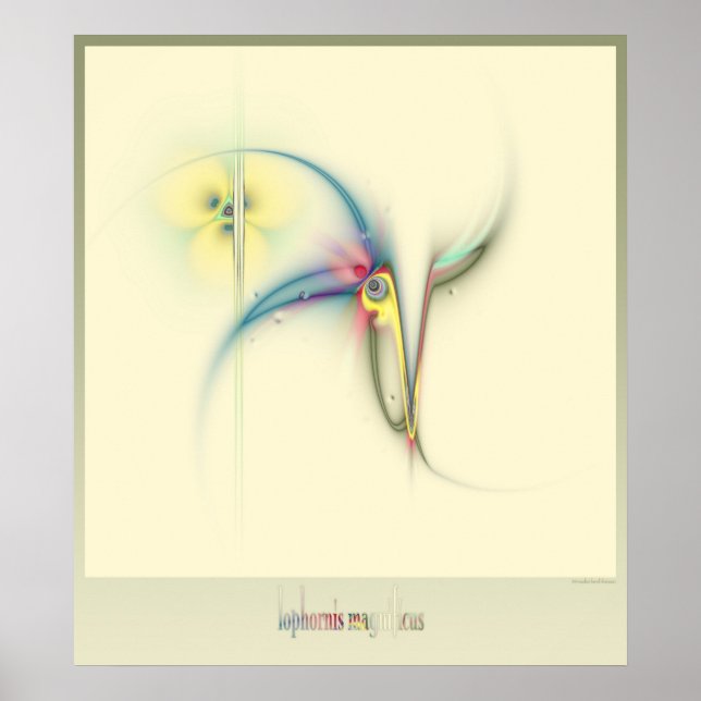 Poster coquete frito (Frente)