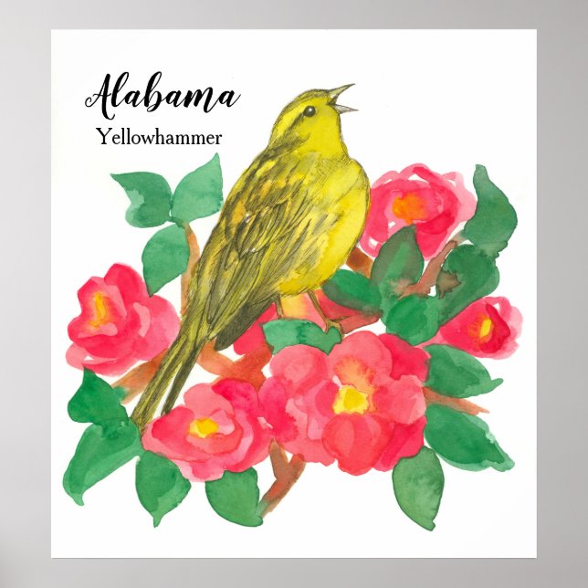 Poster Cor da Aquarela Rosa Camellias Bird Yellowhammer (Frente)