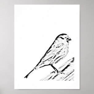 Poster - Cor da tela