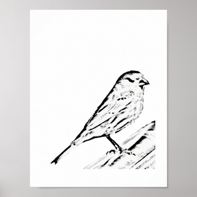 Poster - Cor da tela (Frente)