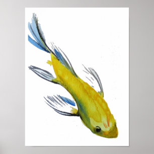 Poster Cor d'água amarela do Koi