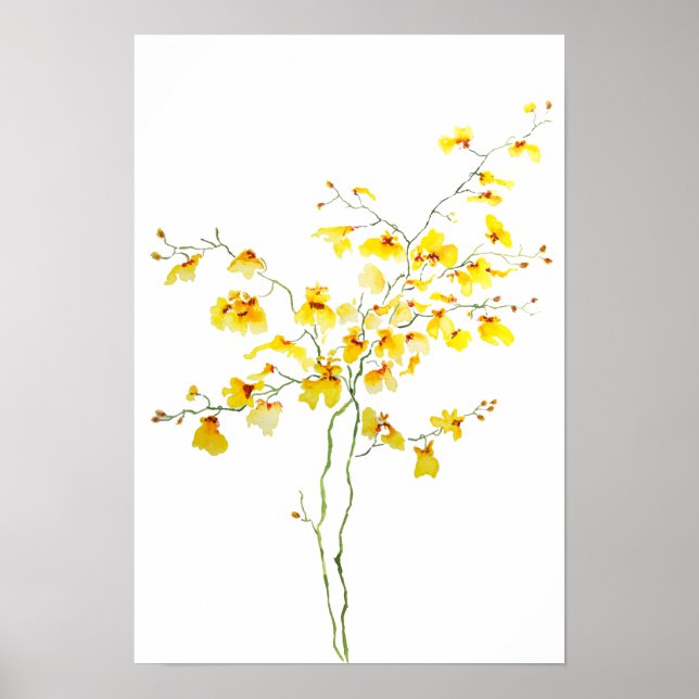 Poster cor d'água amarela Oncidium Orchid (Frente)
