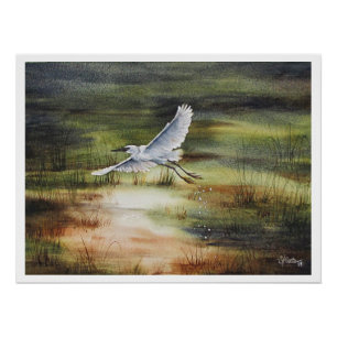 Póster Cor d'água branca Egret