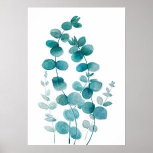 Poster cor d'água do eucalipto pintado à mão