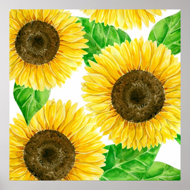 Póster Cor d'água do Sunflower (Frente)