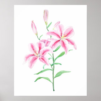 Poster cor-de-água da flor da lila rosa