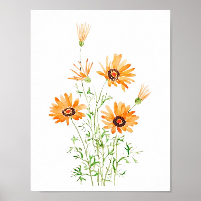 Poster cor-de-água pintada de mão laranja-africana (Frente)