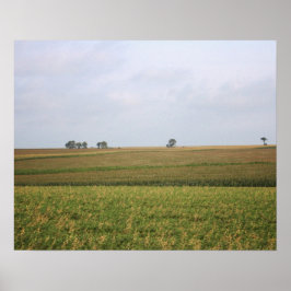 Poster Cor de Paisagem de Cornfield Centro-Oeste 16x20