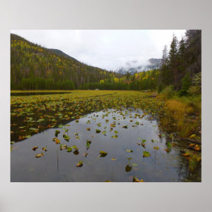 Poster Cor de queda no lago de Cub