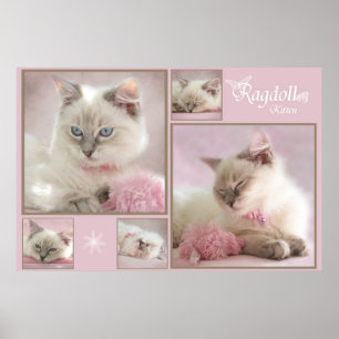 poster cor-de-rosa