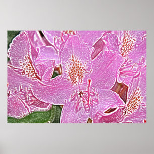 Poster cor-de-rosa da flor do rododendro