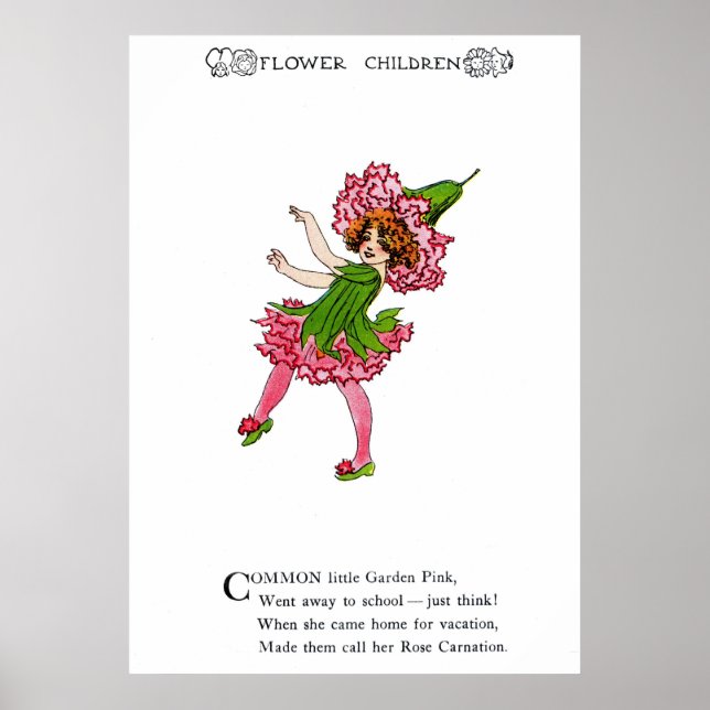 Póster Cor-de-rosa do jardim - cravo-Rosa (Frente)