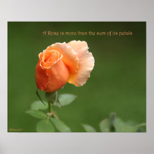Poster cor-de-rosa do pêssego: AUMENTOU & a PROSA