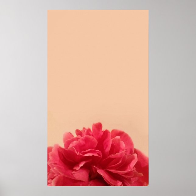 Poster Cor-de-rosa e creme (Frente)