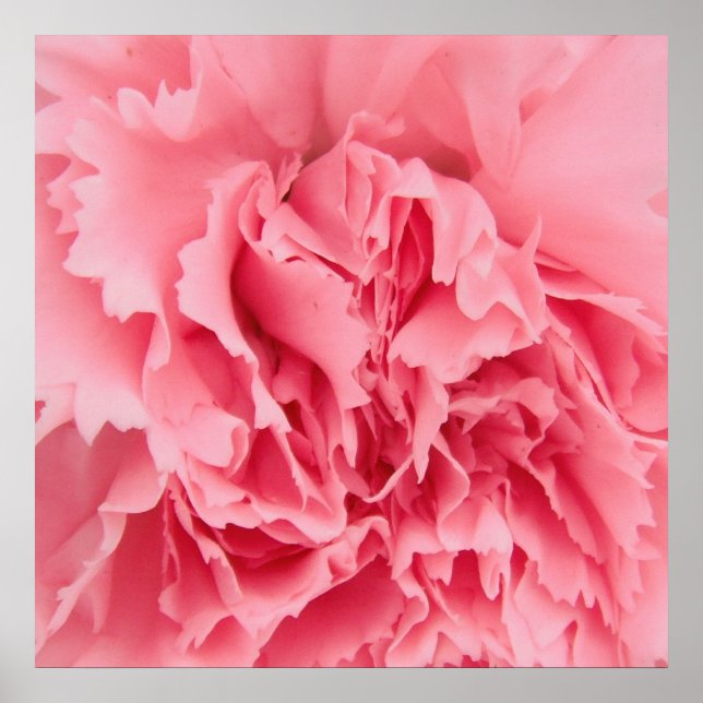 Poster cor-de-rosa Fechar (Frente)