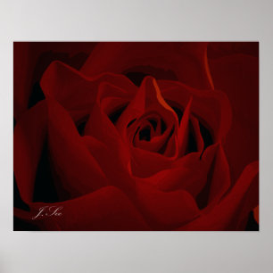 Poster cor-de-rosa vermelho escuro