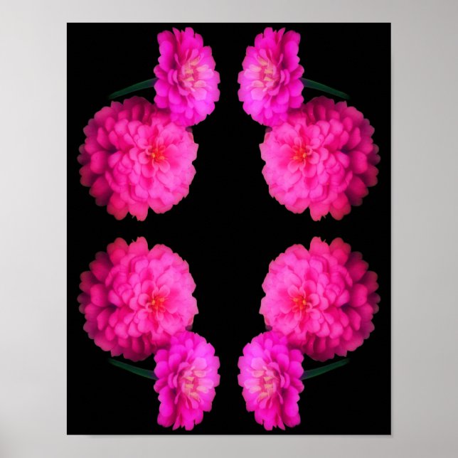 Poster Cor-de-rosa Zinnia Flor Par Abstrato (Frente)