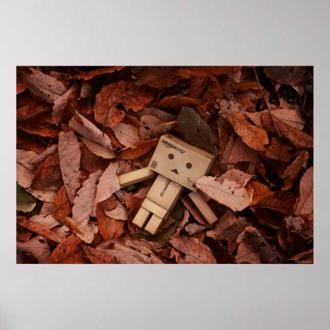 Poster Cor do outono (Frente)