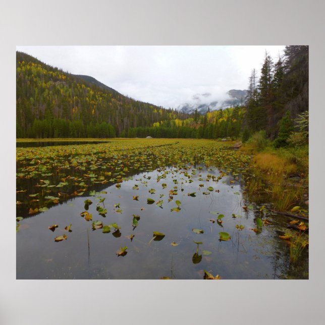Poster Cor do Outono no Cub Lake (Frente)