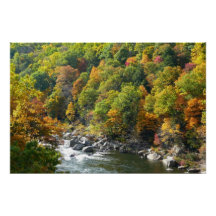 Cor do Outono no Parque Estadual de Ohiopyle