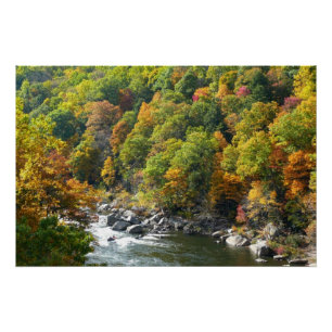 Póster Cor do Outono no Parque Estadual de Ohiopyle