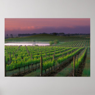 Póster Cor do sol no nevoeiro distante atrás