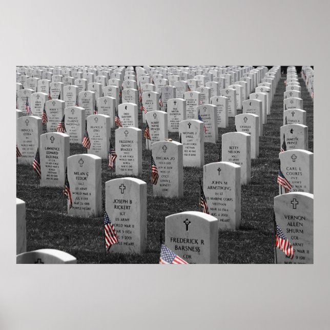 Póster Cor dos Sinalizadores B&W Arlington (Frente)