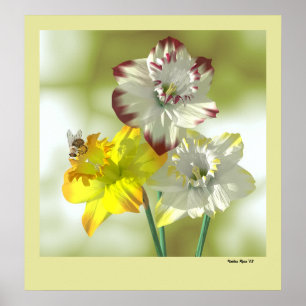 Póster Cor Favorita