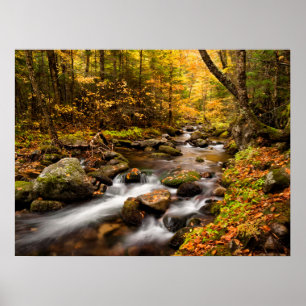 Poster Cor Jefferson Brook Outono   Montanhas Brancas