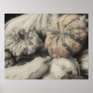 Póster Cor Parcial das Gourds Ornamentais