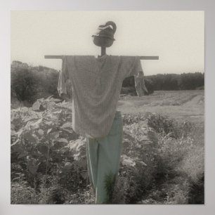 Póster Cor Parcial do Espantalho do Jardim do País