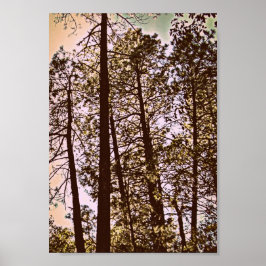 Poster cor pelas árvores