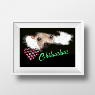 Poster Cor Sólida Dos Olhos De Chihuahua De Cabelo Curto