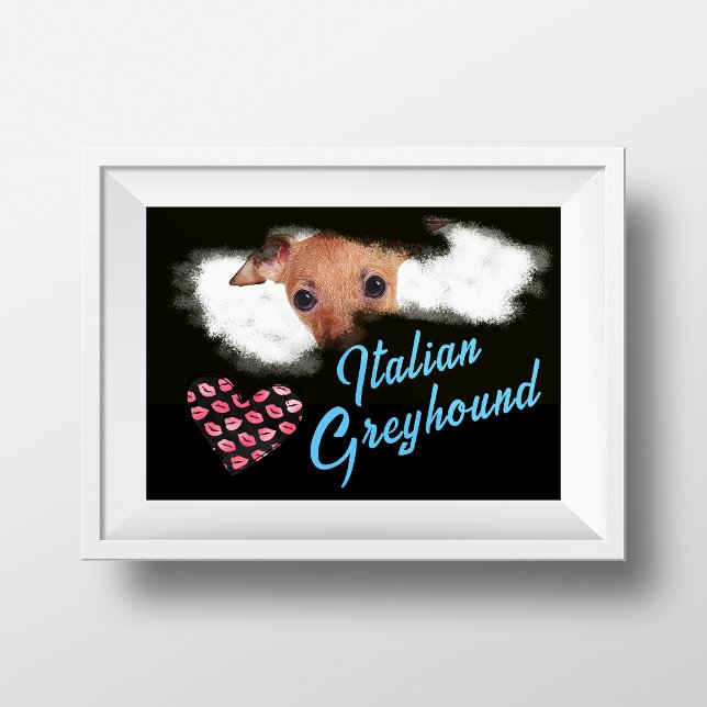 Poster Cor Sólida Dos Olhos De Greyhound Italianos (Criador carregado)