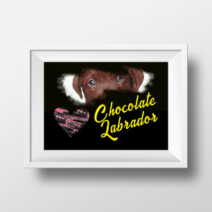 Poster Cor Sólida dos Olhos Labradores de Chocolate