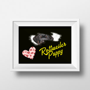 Poster Cor Sólida dos Olhos Rottweiler