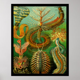 Póster Cor submarina
