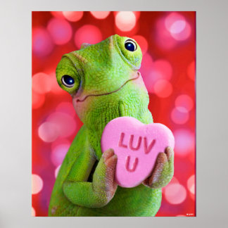 Poster Coração Camaleão (Te Amo)