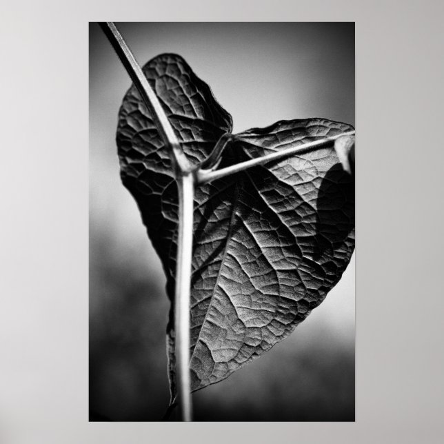 Poster coração crucificado (Frente)