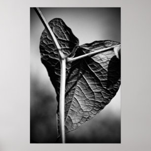 Poster coração crucified