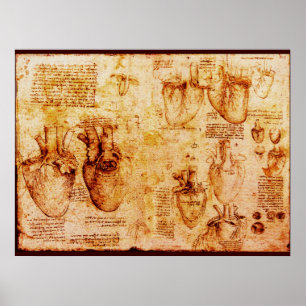 Póster Coração E Seus Vasos Sanguíneos, Canvas Marrom