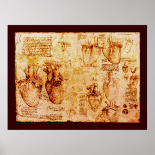 Póster Coração E Seus Vasos Sanguíneos, Canvas Marrom