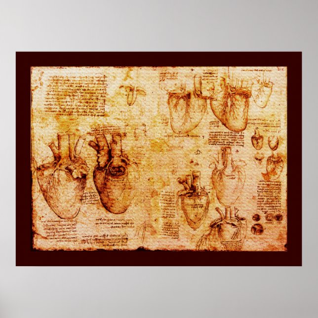 Póster Coração E Seus Vasos Sanguíneos, Canvas Marrom (Frente)