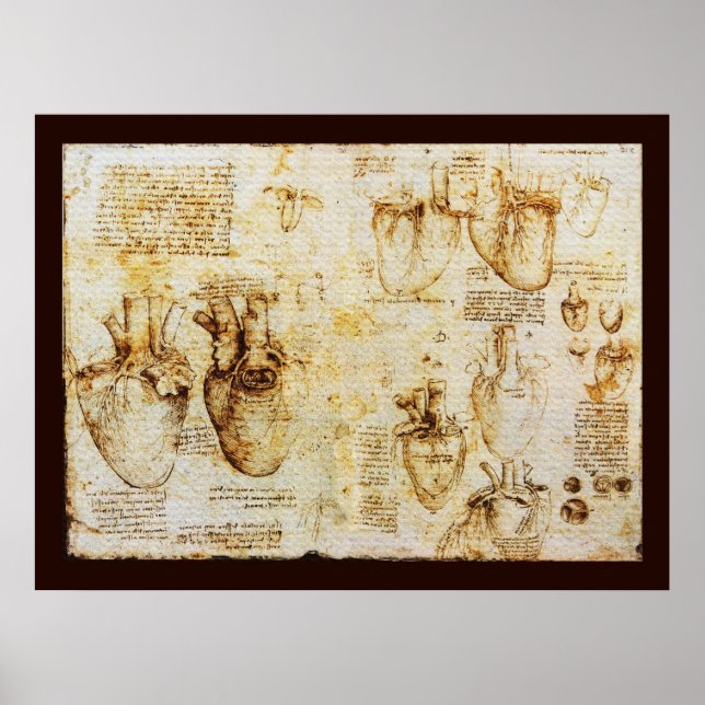 Poster Coração E Seus Vasos Sanguíneos, Canvas Sepia (Frente)