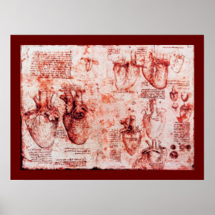 Poster Coração E Seus Vasos Sanguíneos, Canvas Vermelha