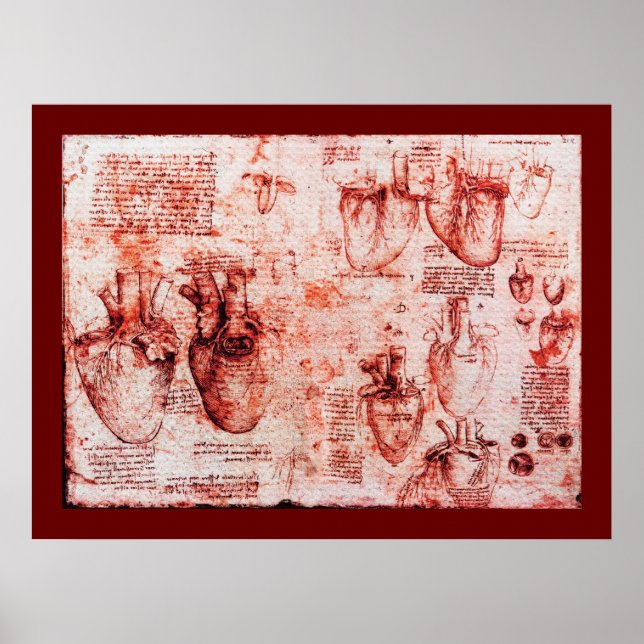 Poster Coração E Seus Vasos Sanguíneos, Canvas Vermelha (Frente)