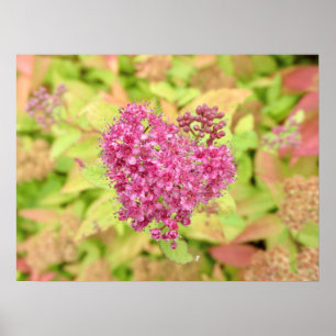 Poster Coração Flor Natural - perfurado pela flecha.