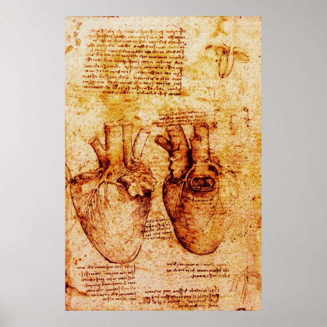 Póster Coração,Seus Vasos Sanguíneos,Leonardo Da Vinci Ma (Frente)