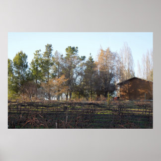 Póster Coração Vineyard em Paso Robles, CA