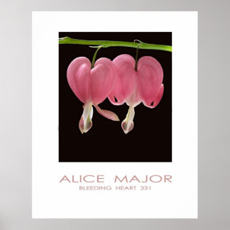 Poster Corações hemorrágicos 331